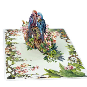 Parrot-Couple-Anniversary-3D-popup-Cards-Valentines-Day-02