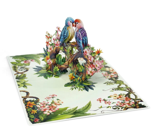 Parrot-Couple-Anniversary-3D-popup-Cards-Valentines-Day-03