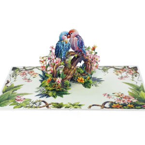 Parrot-Couple-Anniversary-3D-popup-Cards-Valentines-Day-04