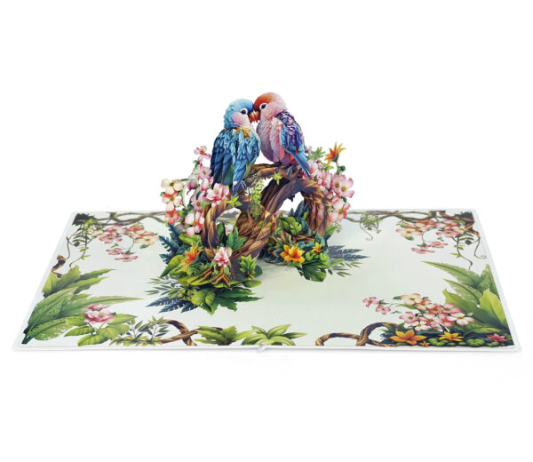 Parrot-Couple-Anniversary-3D-popup-Cards-Valentines-Day-04