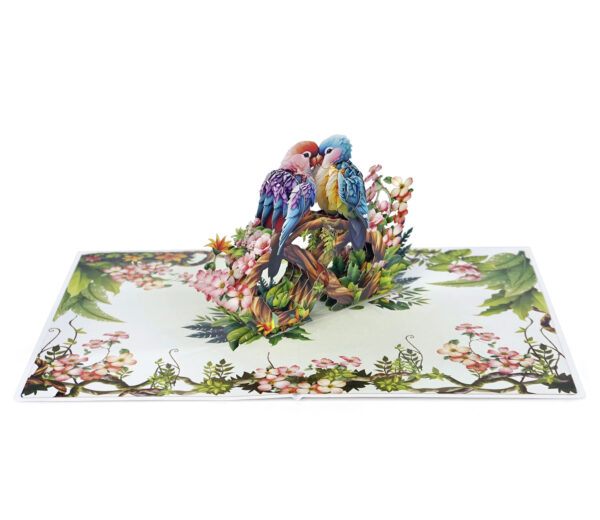 Parrot-Couple-Anniversary-3D-popup-Cards-Valentines-Day-05