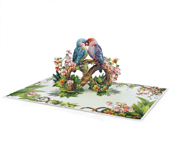 Parrot-Couple-Anniversary-3D-popup-Cards-Valentines-Day-06