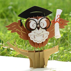 Graduation-3D-Greeting-Card-with-Owl-Pop-Up-01