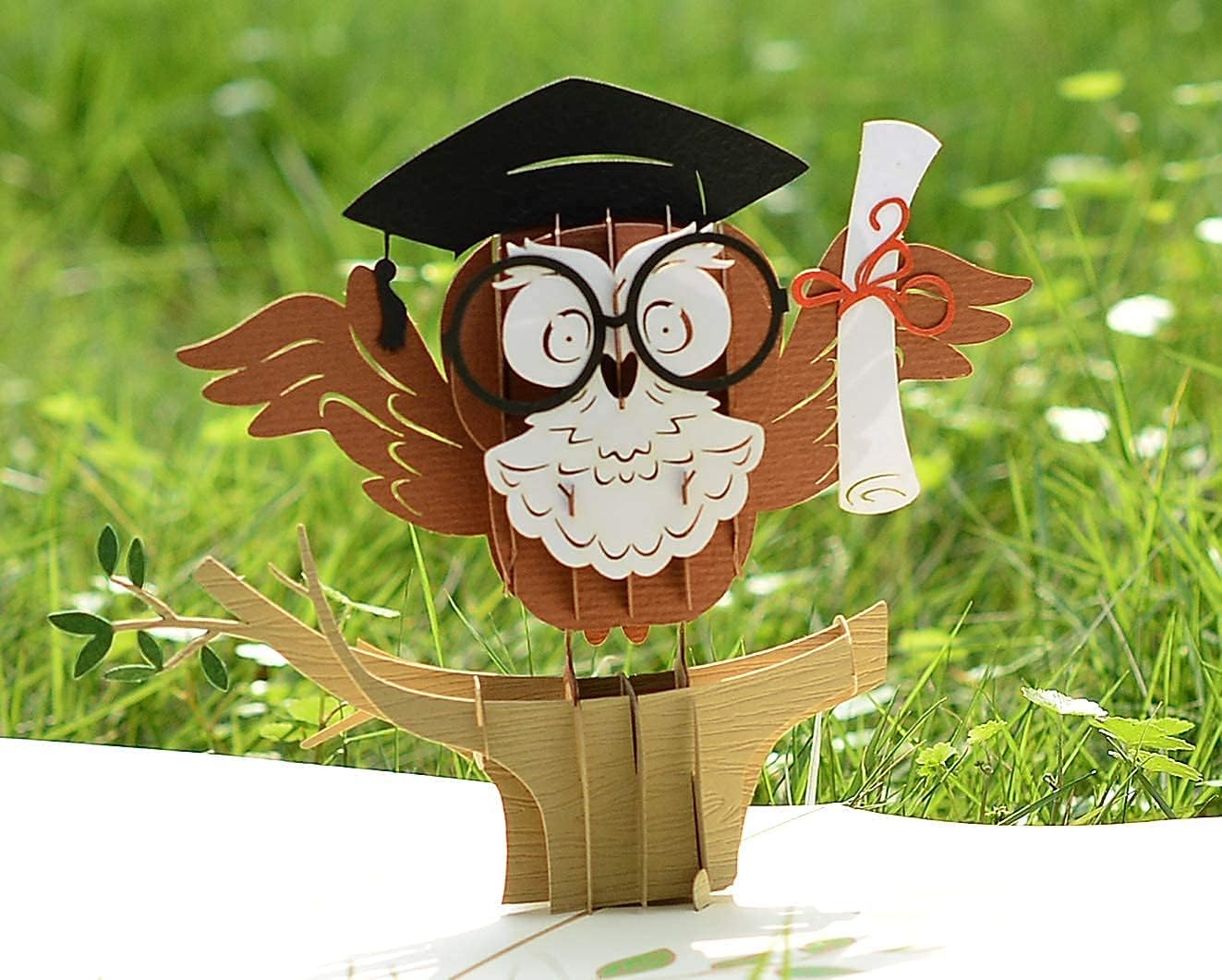 Graduation-3D-Greeting-Card-with-Owl-Pop-Up-02