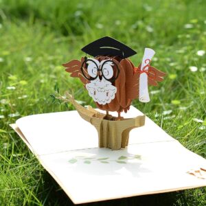 Graduation-3D-Greeting-Card-with-Owl-Pop-Up-03