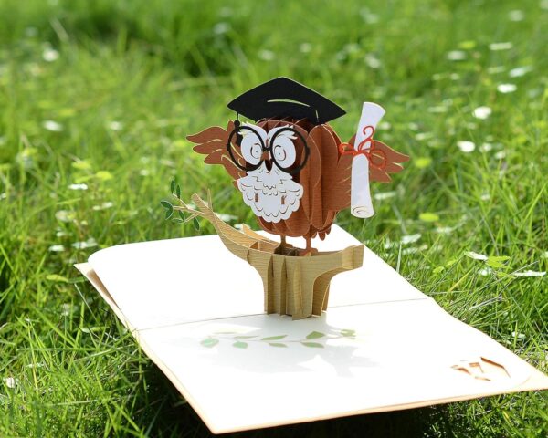 Graduation-3D-Greeting-Card-with-Owl-Pop-Up-03