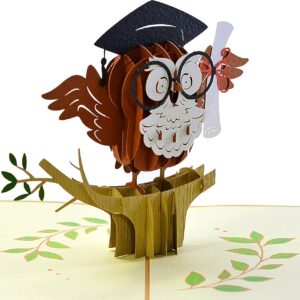 Graduation-3D-Greeting-Card-with-Owl-Pop-Up-04