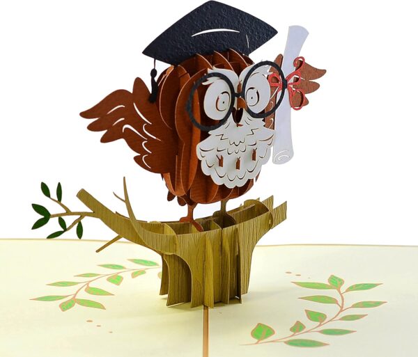 Graduation-3D-Greeting-Card-with-Owl-Pop-Up-04