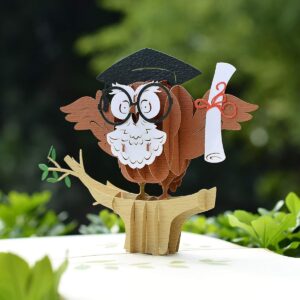 Graduation-3D-Greeting-Card-with-Owl-Pop-Up-05