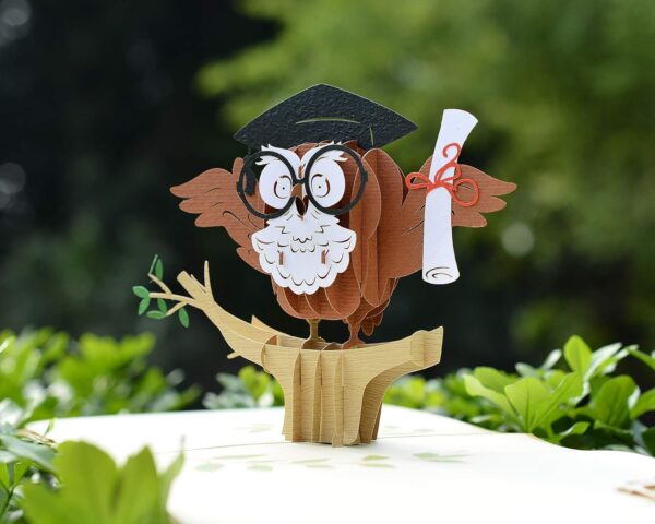 Graduation-3D-Greeting-Card-with-Owl-Pop-Up-05