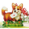 Happy-Valentine-3D-greeting-popup-with-Corgi-Dog-00