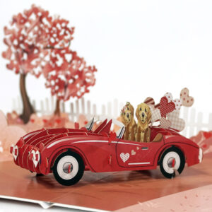 Happy-Valentine-Anniversary-3D-popup-greeting-cards-02