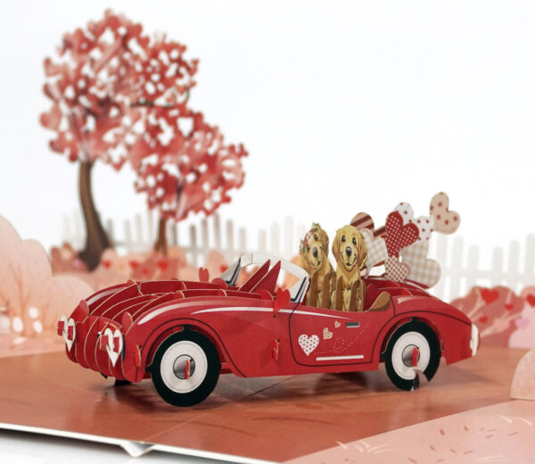 Happy-Valentine-Anniversary-3D-popup-greeting-cards-02