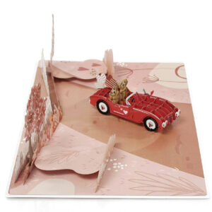 Happy-Valentine-Anniversary-3D-popup-greeting-cards-03