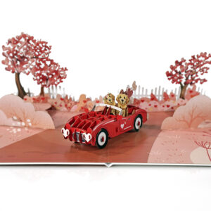 Happy-Valentine-Anniversary-3D-popup-greeting-cards-05