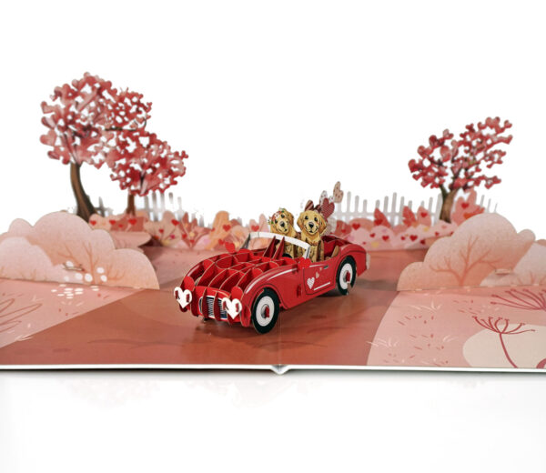 Happy-Valentine-Anniversary-3D-popup-greeting-cards-05