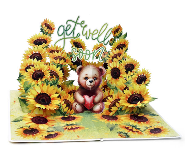 Get Well Soon Greeting-3D Pop up Card-04