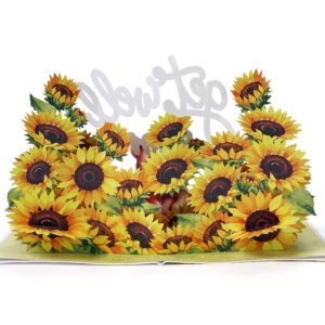 Get Well Soon Greeting-3D Pop up Card-06