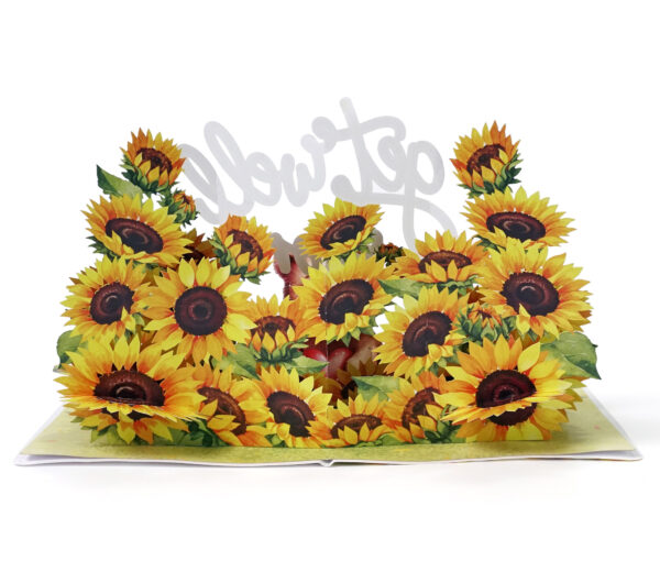 Get Well Soon Greeting-3D Pop up Card-06