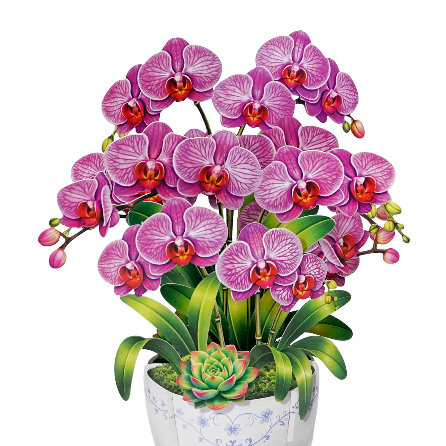 3D-Orchid-Pop-Up-Card-Mothers-Day-Grace-00