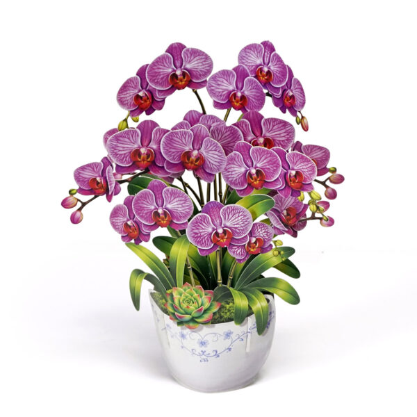 3D-Orchid-Pop-Up-Card-Mothers-Day-Grace-02