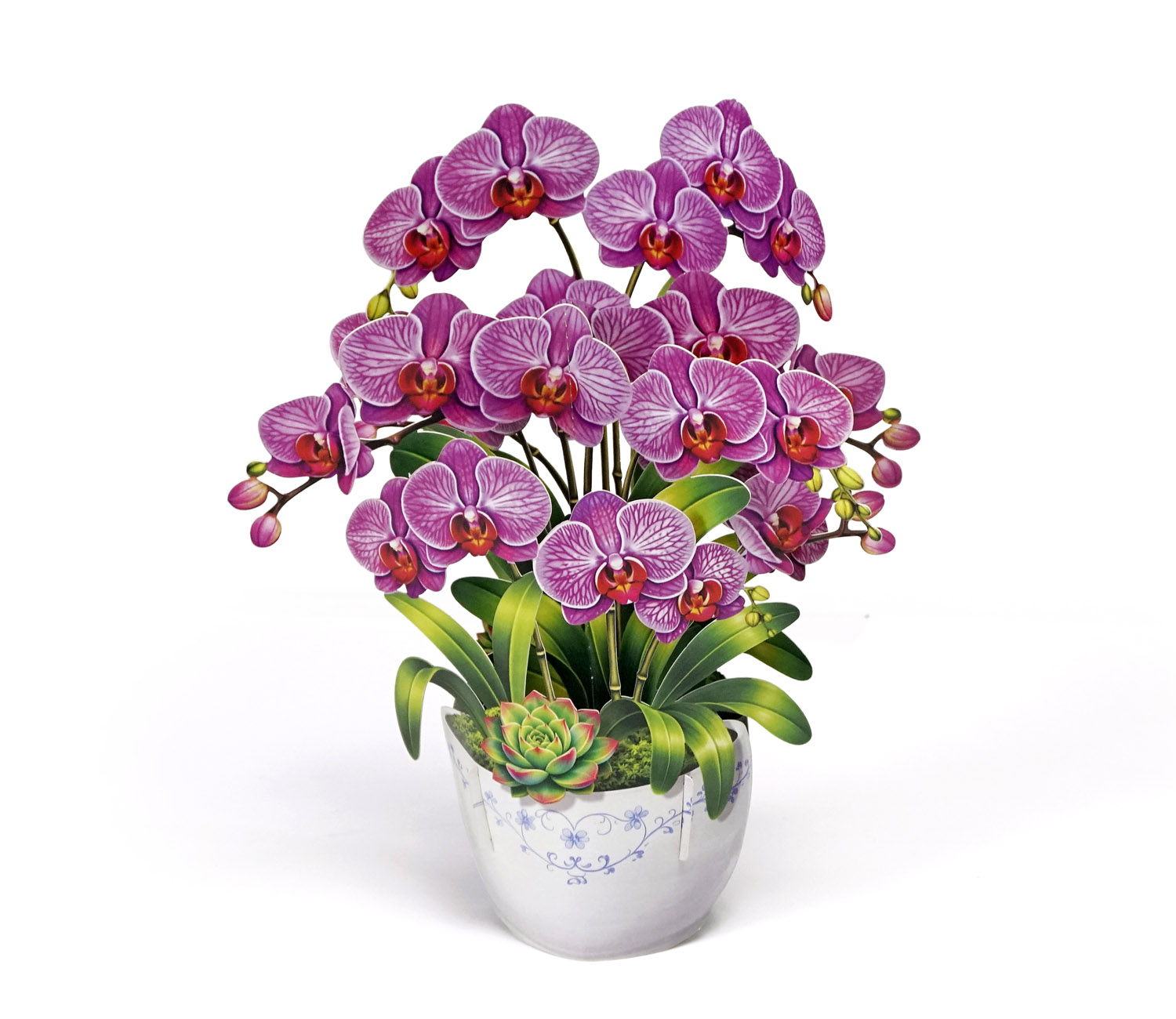 3D-Orchid-Pop-Up-Card-Mothers-Day-Grace-02