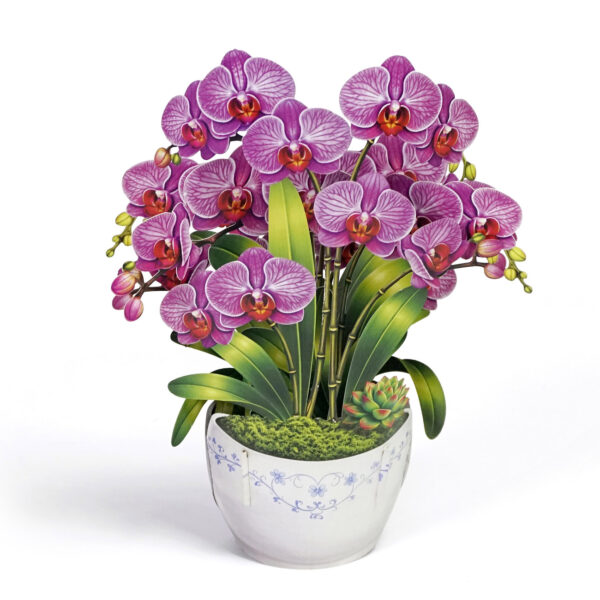 3D-Orchid-Pop-Up-Card-Mothers-Day-Grace-03