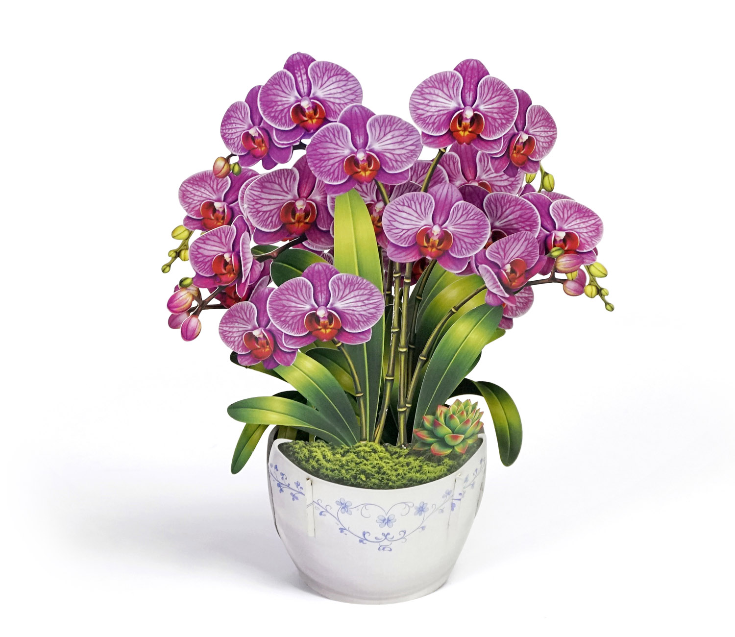 3D-Orchid-Pop-Up-Card-Mothers-Day-Grace-03