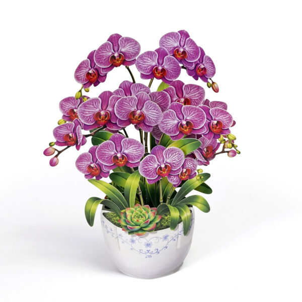3D-Orchid-Pop-Up-Card-Mothers-Day-Grace-04