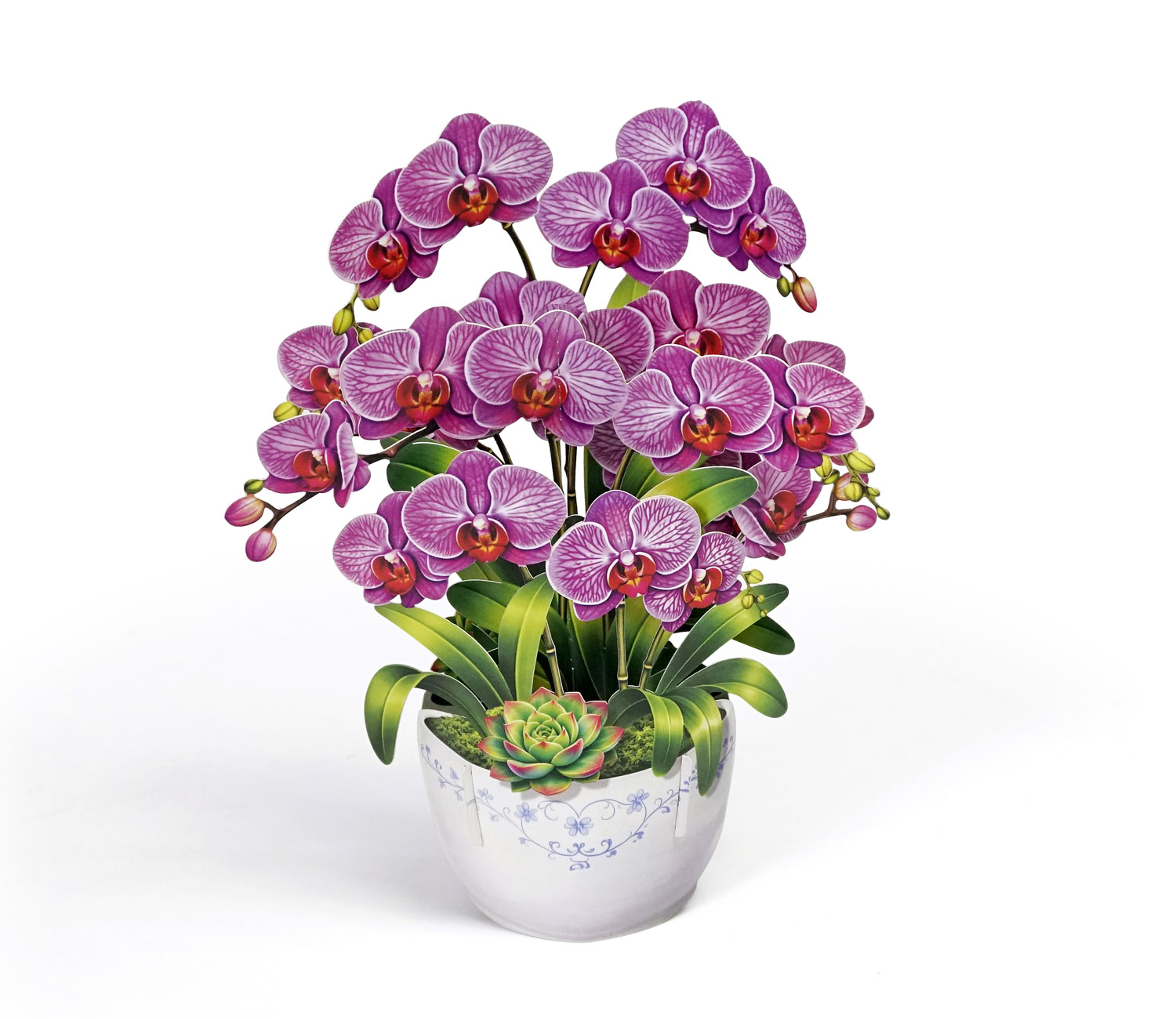 3D-Orchid-Pop-Up-Card-Mothers-Day-Grace-04