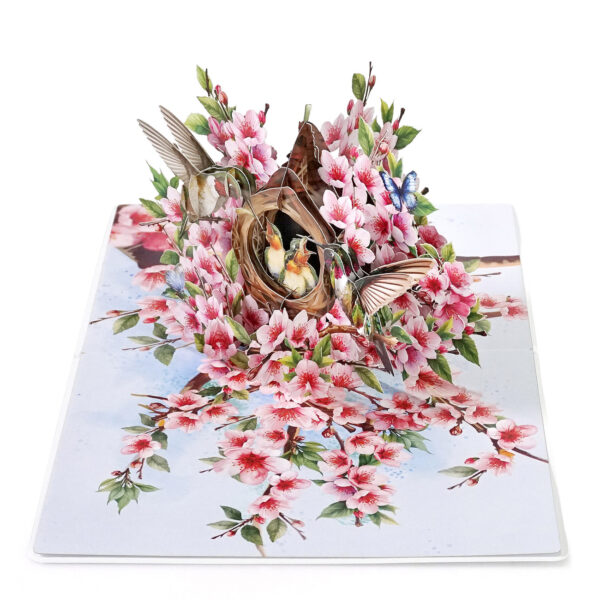 3D Pop-Up-Hummingbird -Nest-Card-02