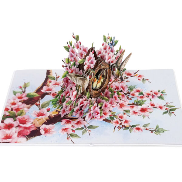 3D Pop-Up-Hummingbird -Nest-Card-05
