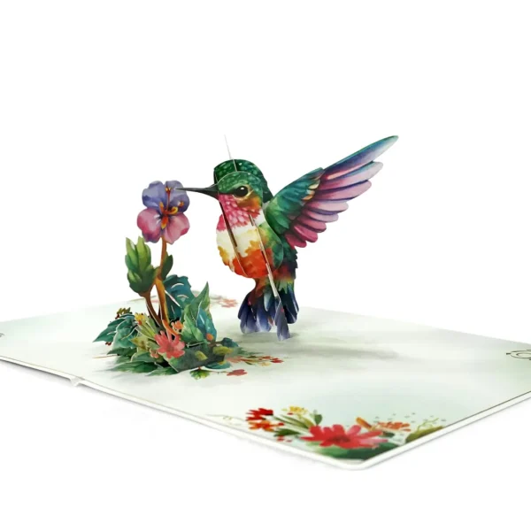 Hummingbird-Greeting-Cards-3D-Popup-Birthday-04