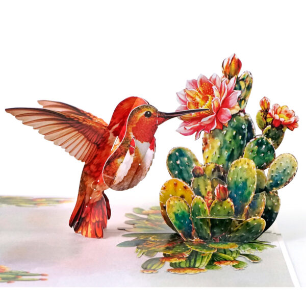 Nature-3D-Pop-Up–Hummingbird-00