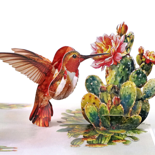 Nature-3D-Pop-Up–Hummingbird-01