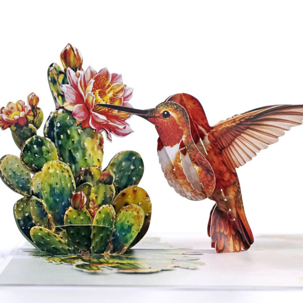 Nature-3D-Pop-Up–Hummingbird-02