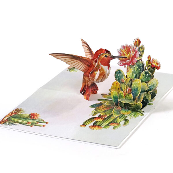 Nature-3D-Pop-Up–Hummingbird-03
