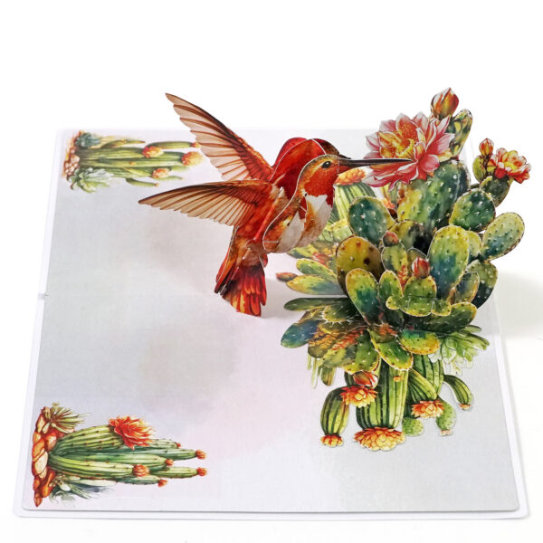 Nature-3D-Pop-Up–Hummingbird-04