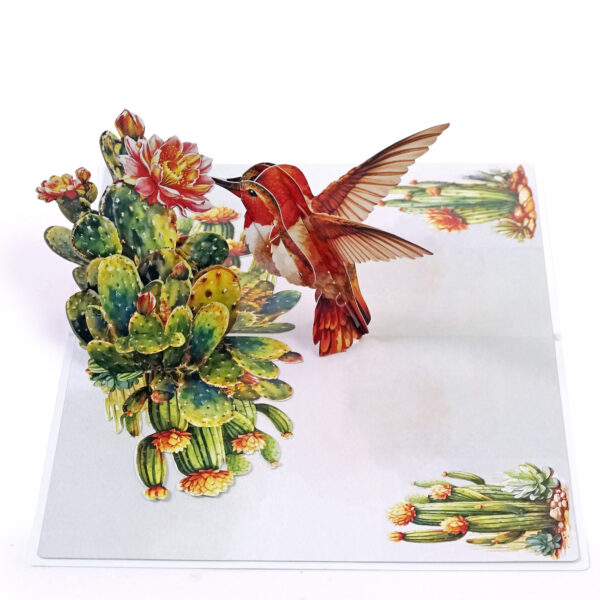 Nature-3D-Pop-Up–Hummingbird-05