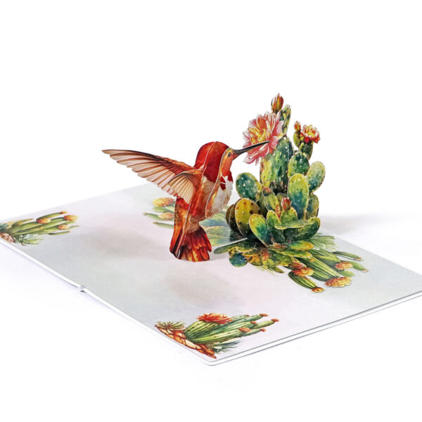 Nature-3D-Pop-Up–Hummingbird-06