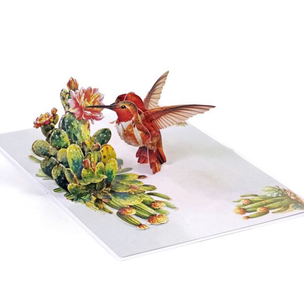 Nature-3D-Pop-Up–Hummingbird-07