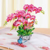 Pink-Phalaenopsis -Orchids-for-Mother’s Day-00