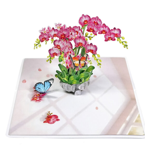 Pink-Phalaenopsis -Orchids-for-Mother’s Day-03