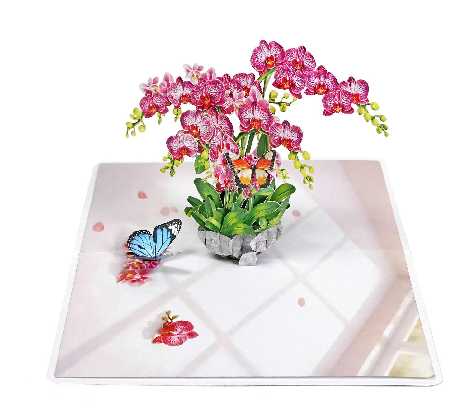 Pink-Phalaenopsis -Orchids-for-Mother’s Day-03