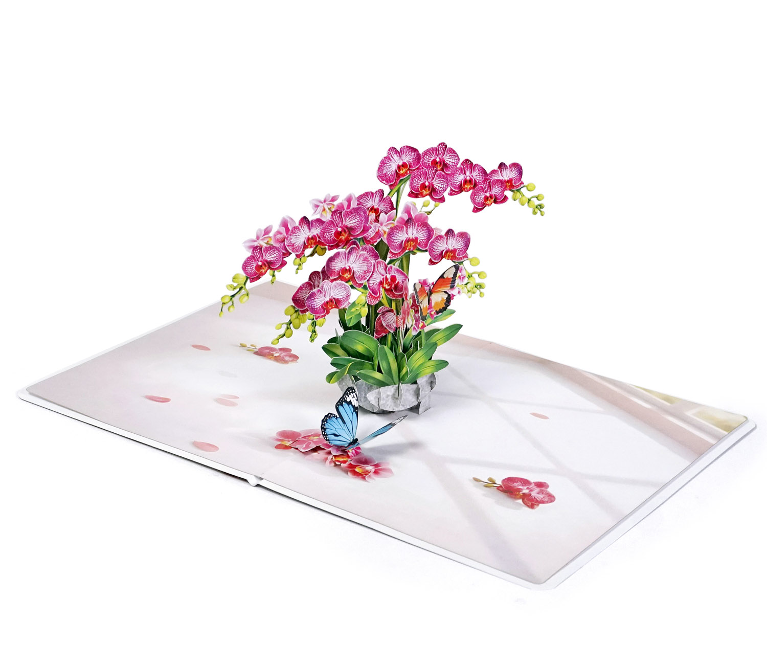 Pink-Phalaenopsis -Orchids-for-Mother’s Day-04