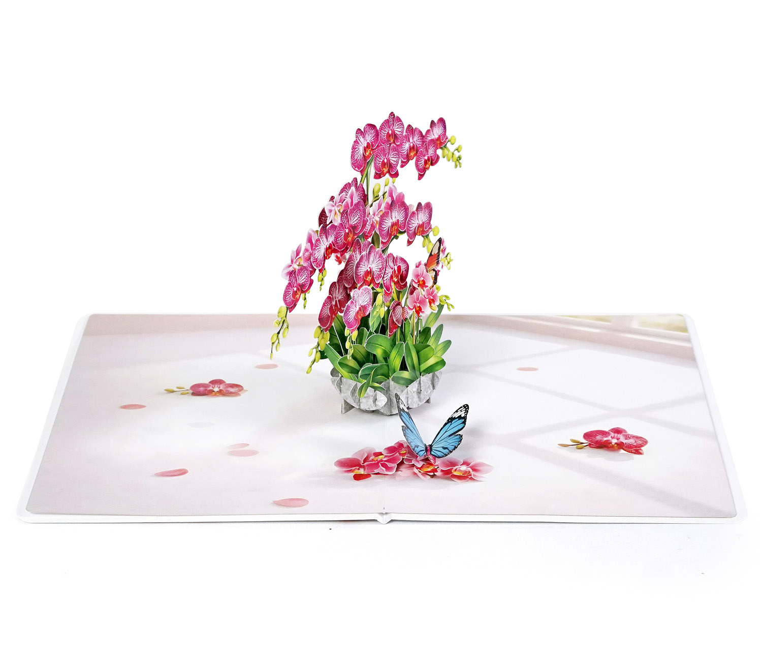 Pink-Phalaenopsis -Orchids-for-Mother’s Day-05