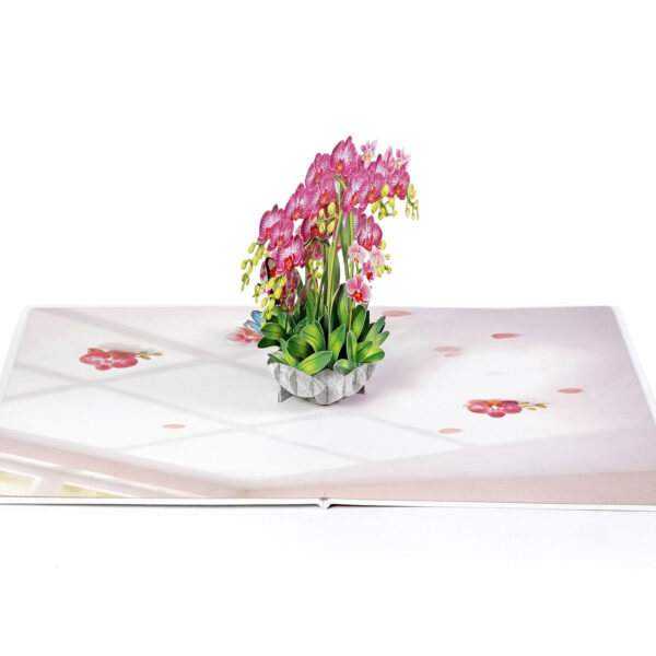 Pink-Phalaenopsis -Orchids-for-Mother’s Day-06