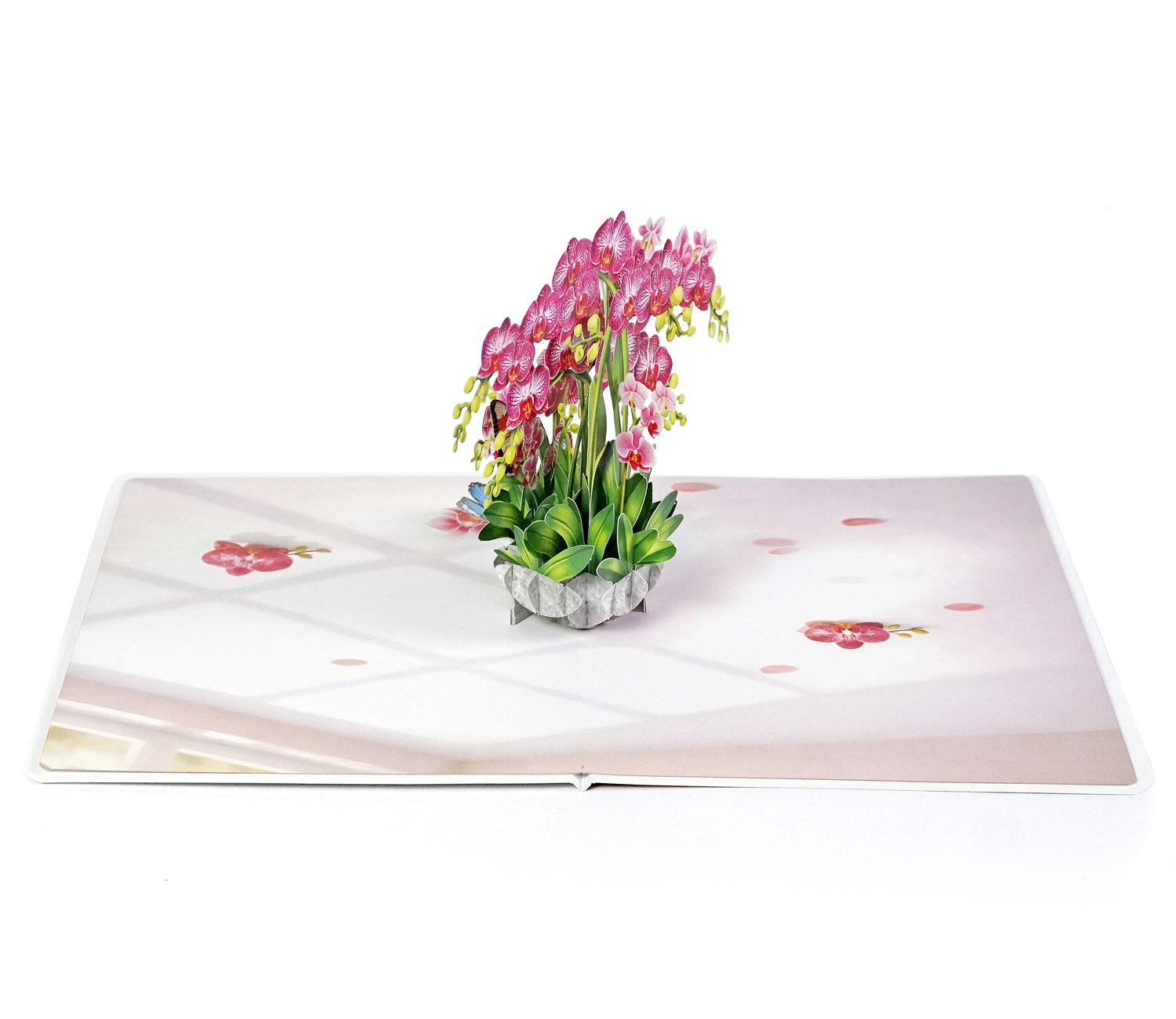 Pink-Phalaenopsis -Orchids-for-Mother’s Day-06