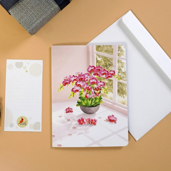 Pink-Phalaenopsis -Orchids-for-Mother’s Day-07