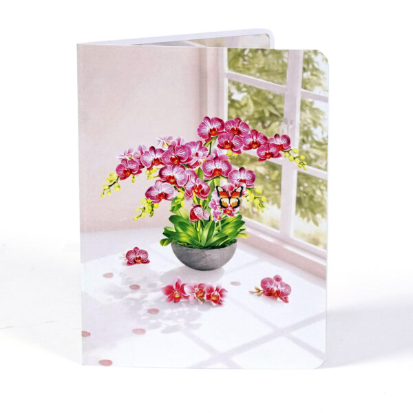 Pink-Phalaenopsis -Orchids-for-Mother’s Day-08